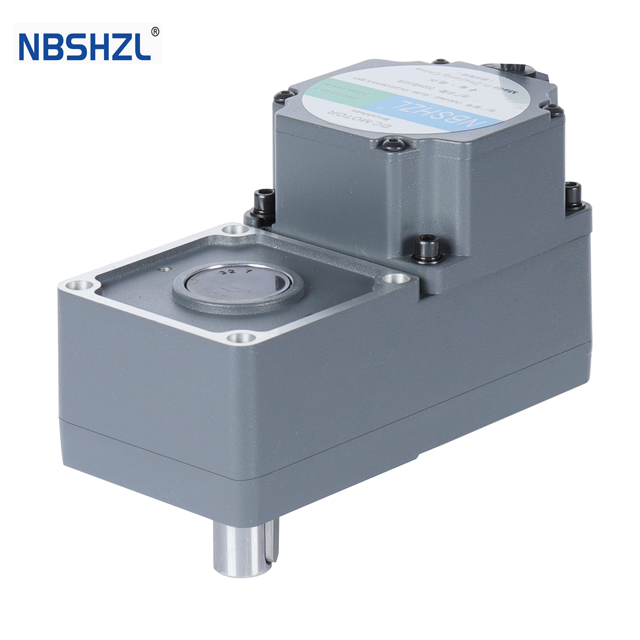 Shenghe BL60 3-phase brushless DC motor, 100W–400W