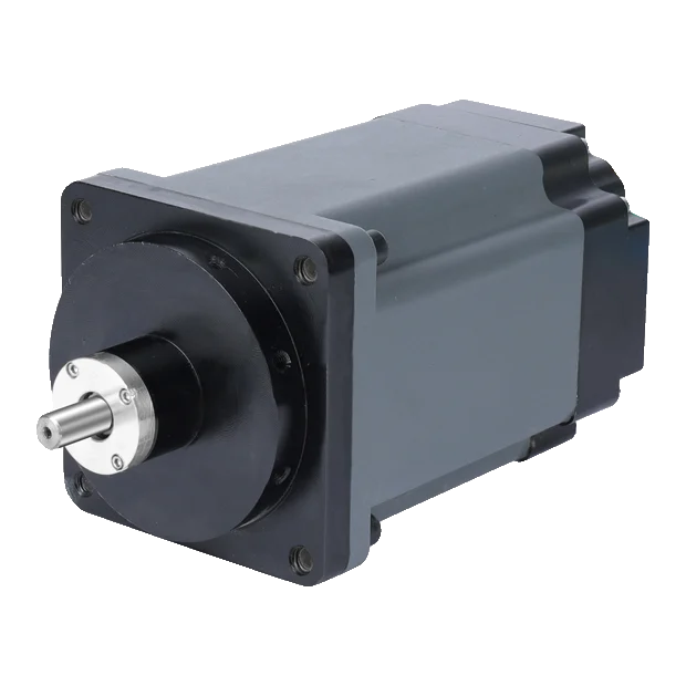 BLDC planetary gear motor with planetary reducer — Shenghe factory